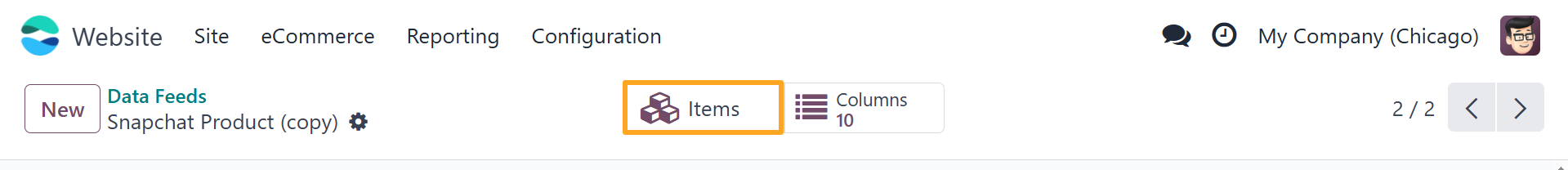 Odoo 18.0 Snapchat Product Data Feed Items Button